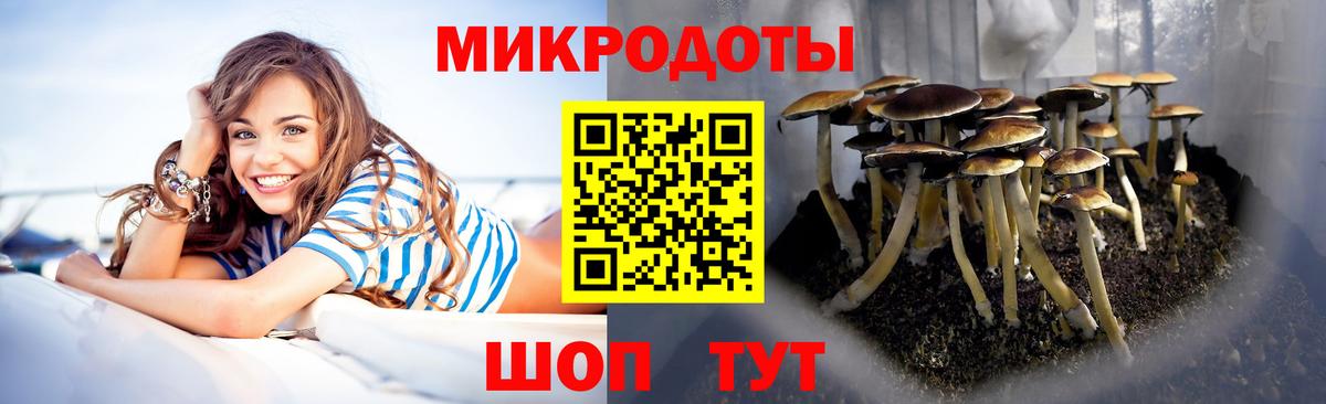 Галлюциногенные грибы мицелий  Вход с VPN  Жигулёвск 